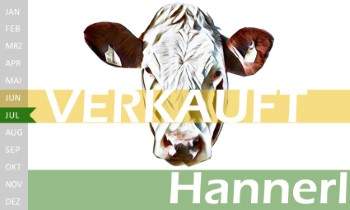 tr�chtige Fleckvieh Kalbin zu verkaufen, beweidet und ruhig